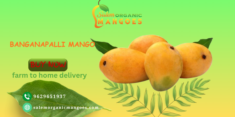 SLIDE FOR BANGANAPALLI MANGO.png